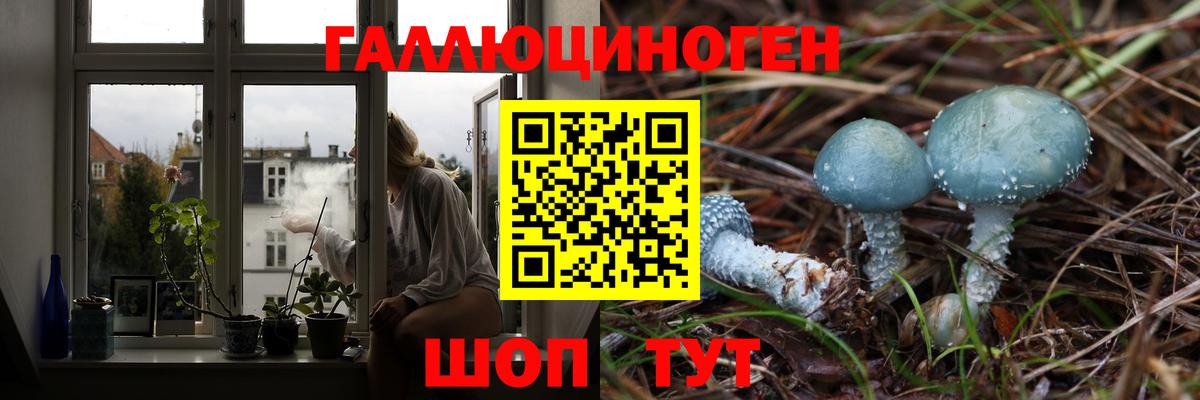 Ленинск-Кузнецкий  Галлюциногенные грибы ЛСД  Вход с VPN  Галлюциногенные грибы прущие грибы 